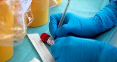 18 active coronavirus cases remain in Guelph: public health - globalnews.ca - city Wellington