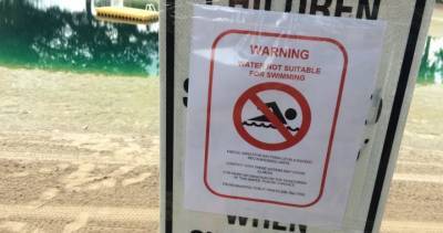 Popular White Pine Beach North in Port Moody closed to swimmers due to high E. coli levels - globalnews.ca