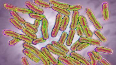Salmonella outbreak hits 23 states, source unknown: CDC - fox29.com - state Florida - Washington - state Arizona - state Virginia - county Newport - state Maine - state Nebraska - state North Dakota - state South Dakota - state Idaho
