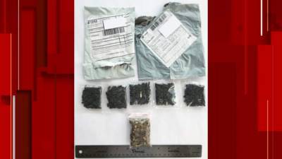 Nikki Fried - DO NOT OPEN: Florida officials warn of suspicious seed packages being sent through mail - clickorlando.com - China - state Florida - city Tallahassee, state Florida - Washington - state Virginia - state Louisiana - state Utah - state Kansas - state Oklahoma