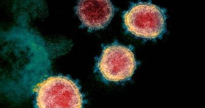 Manitoba reports 8th coronavirus death Tuesday - globalnews.ca - region Health