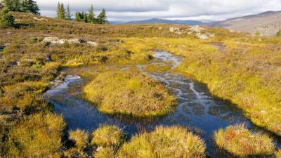 Ancient bones in disturbed peat bogs are rotting away, alarming archaeologists - sciencemag.org - Denmark - Sweden