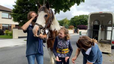 Equine therapy home visits 'a joy' for children in Dublin - rte.ie - Ireland - city Dublin