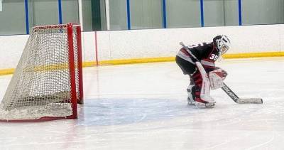 Winnipeg minor hockey tournament organizers under fire after Saskatchewan teams travel to attend - globalnews.ca - Usa