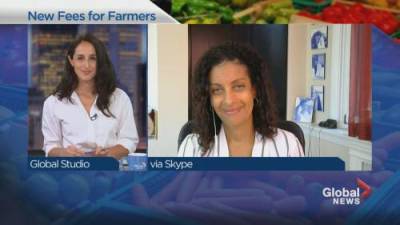 Laura Casella - Dominique Anglade - Anglade calls on Walmart to ‘back down’ on fee increase for Quebec farmers - globalnews.ca