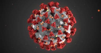 Nova Scotia - Nova Scotia reports two new cases of coronavirus Friday, ending caseless streak - globalnews.ca - Canada