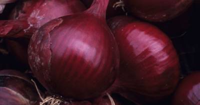 Red onions from the U.S. could contain salmonella, health officials warn - globalnews.ca - Canada