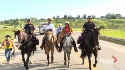 Deb Matejicka - 8-year-long ride concludes in Calgary for Brazilian-born cowboy - globalnews.ca