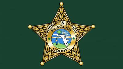 Man backs into deputy’s patrol car during traffic stop, officials say - clickorlando.com - state Florida - county Flagler