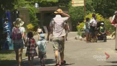 Albert Delitala - Coronavirus: Toronto Zoo reopens grounds to general public - globalnews.ca