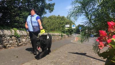 IGDB urges public to be mindful of challenges faced by guide dog owners - rte.ie - Germany - Ireland
