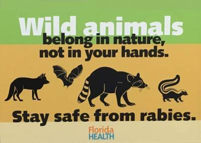 Rabies alert issued for Orange County region after cat tests positive for disease, officials say - clickorlando.com - state Florida - county Orange