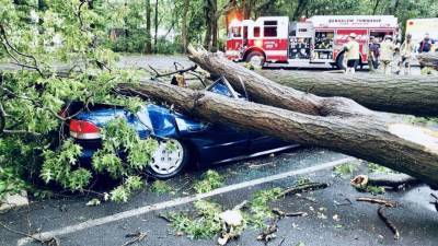 Storms wreak havoc as tree lands on a car in Bucks County Monday - fox29.com - state Delaware - county Bucks