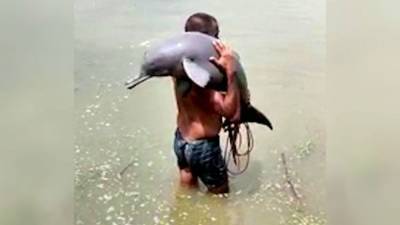 Fisherman in India accidentally catches endangered dolphin, carries it to safety - fox29.com - Usa - India
