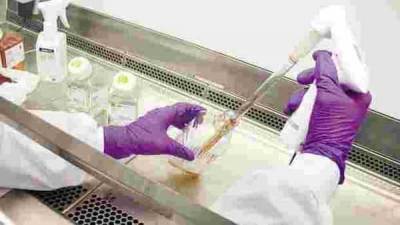 Novavax covid vaccine gets $1.6 billion in US funding - livemint.com - Usa