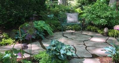 Backyard Oasis: Toronto shade garden offers peace, tranquility amid hard times - globalnews.ca