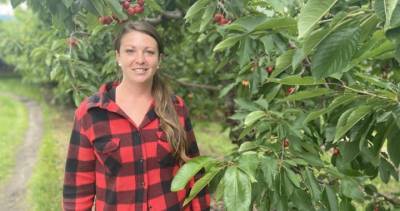 Summerland, B.C., orchardist bolsters on-site picker facilities to combat COVID-19 - globalnews.ca