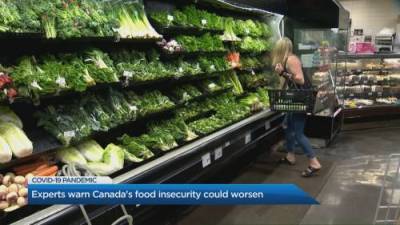 Why Canada’s food insecurity could worsen - globalnews.ca - Canada