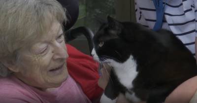 Jane Murphy - How pets are helping residents of one B.C. seniors’ home get through COVID-19 - globalnews.ca - county Island - county St. Joseph - city Vancouver, county Island