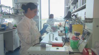 TCD scientists researching treatments for Covid-19 - rte.ie - Ireland - city Dublin