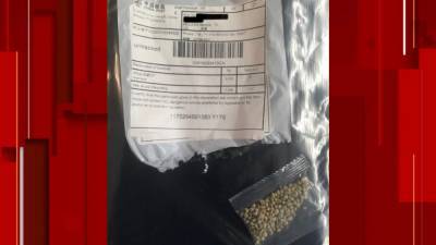 UPDATE: 1,200 Floridians receive suspicious seeds through mail - clickorlando.com - China - state Florida