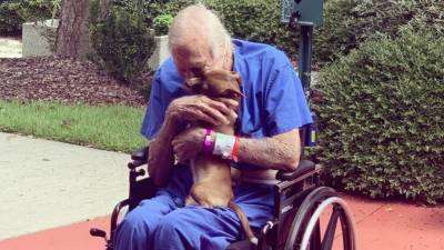 Navy veteran saved by Chihuahua after having a stroke - fox29.com - state North Carolina