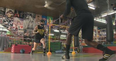 Quebec combat sports athletes, federations fighting to get back in the ring - globalnews.ca