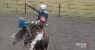 Bull riding a ‘pretty big adrenaline rush’ for Saskatoon family during coronavirus pandemic - globalnews.ca