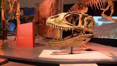 Canadian Museum of Nature to reopen Labour Day weekend - ottawa.ctvnews.ca - Britain - county Day - city Ottawa