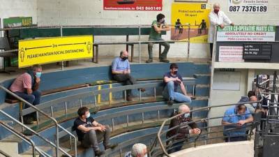 Farmers asked to wear face coverings when attending marts - rte.ie - Ireland