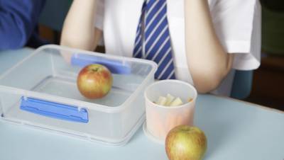 Sarah Macinerney - Kim Roberts - Lunchboxes more likely to transmit Covid-19 than uniforms, says virologist - rte.ie - Ireland - city Dublin