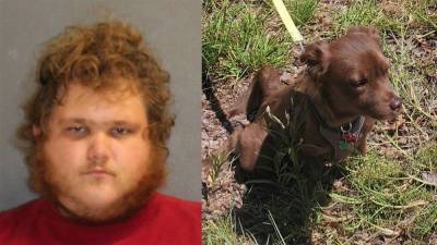 Florida man arrested for possession of child porn, animal cruelty, and bestiality, deputies say - fox29.com - state Florida - county Volusia