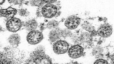 Coronavirus mutating but it may be a 'good' thing': Expert - livemint.com - Singapore - city Singapore