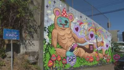 Nanaimo B.C. mural raises eyebrows, generates support - globalnews.ca