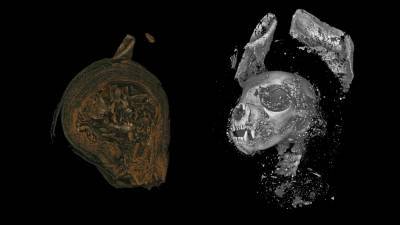 Watch: 3D imaging reveals the ancient lives of Egyptian animal mummies - sciencemag.org - Egypt