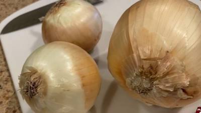 Onions used by Hello Fresh voluntarily recalled for possible presence of salmonella - clickorlando.com