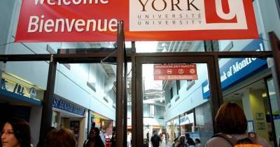 York University gears up to help food entrepreneurs grow their businesses in COVID-19 era - globalnews.ca - county Ontario