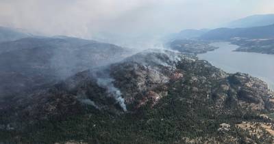 Interior Health - Wildfire season adding complex layer to COVID-19, says Interior Health - globalnews.ca