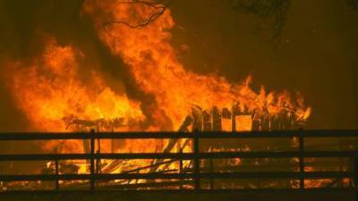 Gavin Newsom - California fighting 560 wildfires, requests help from Canada and Australia - globalnews.ca - Australia - state California - Canada