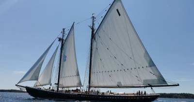 Nova Scotia - Lunenburg Yacht Club brings sailing community back together for unique regatta - globalnews.ca