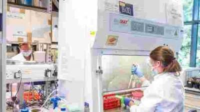 UK backs Cambridge plan for DNA-based vaccine against multiple coronaviruses - livemint.com - Britain - city Oxford