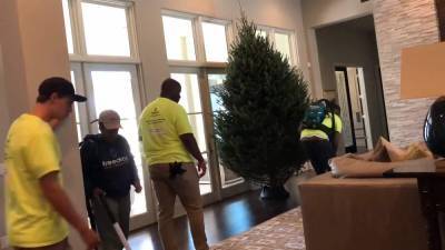 Central Florida couple takes the hassle out of Christmas tree shopping - clickorlando.com - state Florida