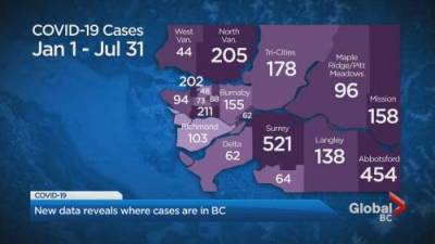 Keith Baldrey - New data reveals where the COVID-19 cases are in B.C. - globalnews.ca