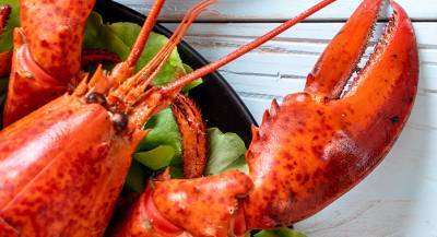 ‘Lobster on the Run’ fundraiser to raise money for new splash pad at Skaha park - globalnews.ca