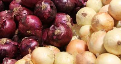 Onion recall expands across Canada; 17 hospitalizations linked to salmonella - globalnews.ca - Usa - state California - Canada