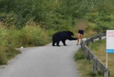 Woman has close encounter with Black Bear on Coquitlam Crunch trail - globalnews.ca