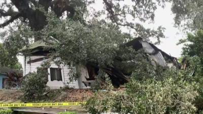 90-year-old woman escapes injury after massive tree falls on home - clickorlando.com