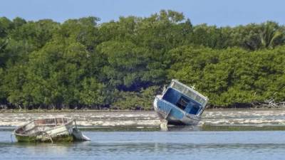 Craig Capri - Daytona Beach police remove derelict boats, search for owners - clickorlando.com - county Halifax