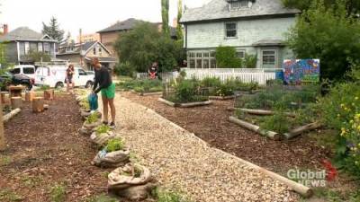 Calgary man turns property damaged by 2013 floods into community garden amid pandemic - globalnews.ca