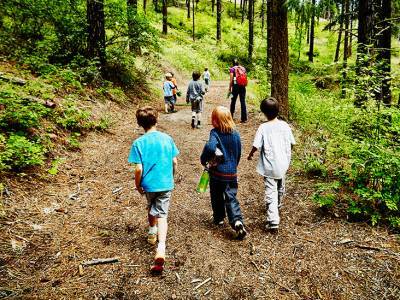 COVID-19 outbreak at a kids' summer camp may be stark warning - medicalnewstoday.com